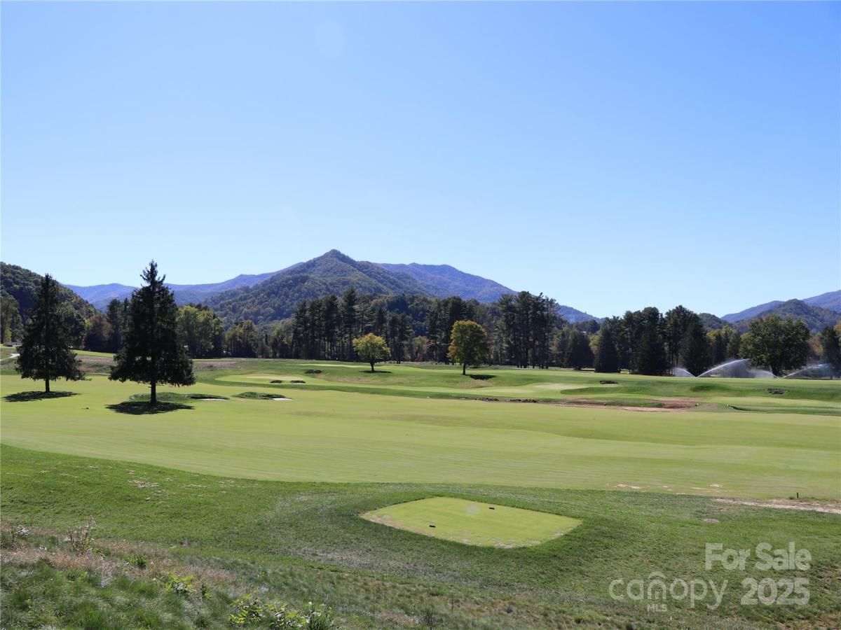 MLS #CAR4292619 image #0