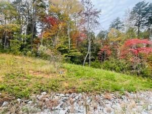 MLS #CAR4292689 image #0