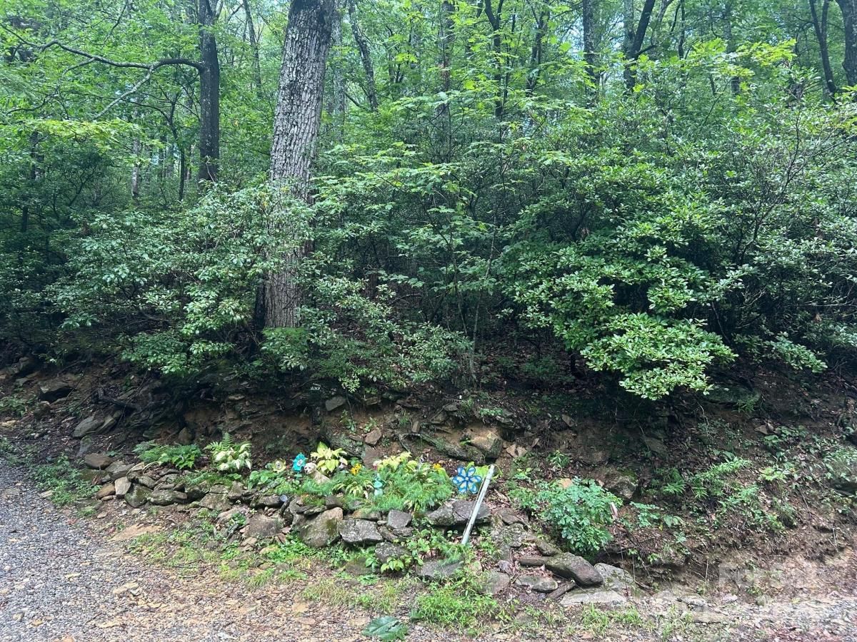 MLS #CAR4292860 image #0