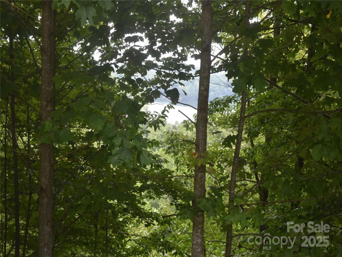 MLS #CAR4293319 image #0