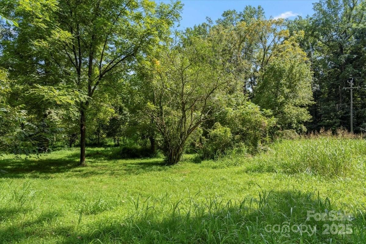 MLS #CAR4293429 image #0