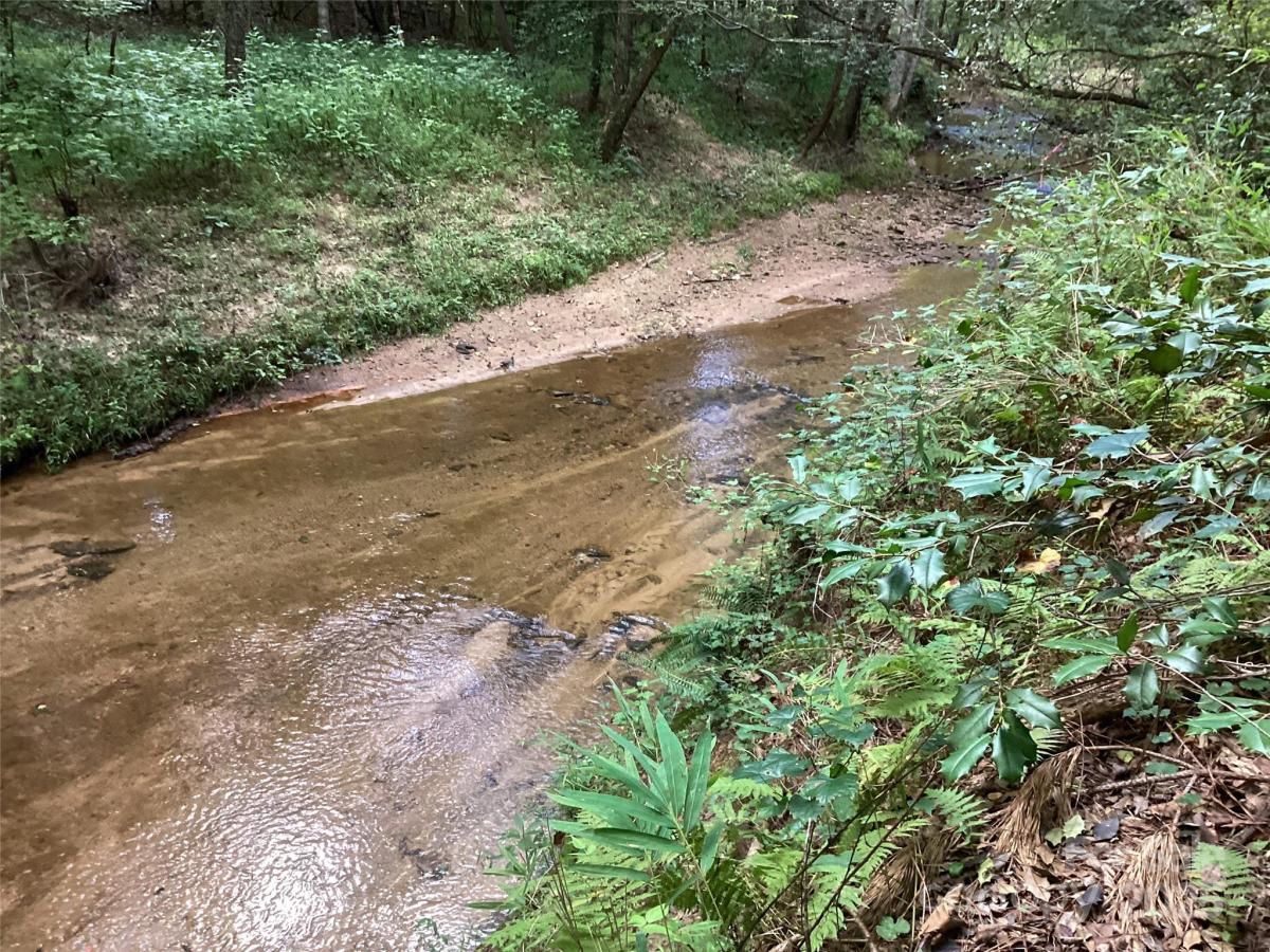 MLS #CAR4293635 image #0