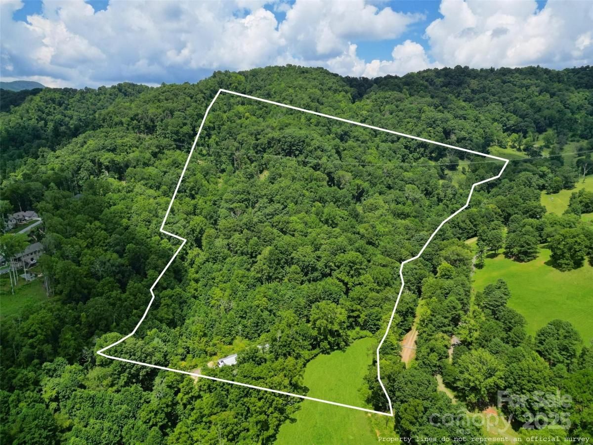 MLS #CAR4294884 image #0