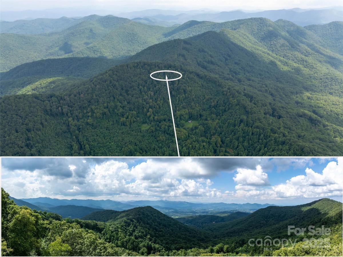 MLS #CAR4295039 image #0