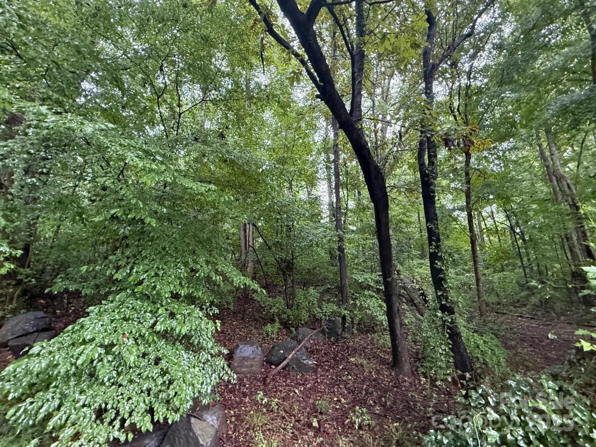 MLS #CAR4295575 image #0