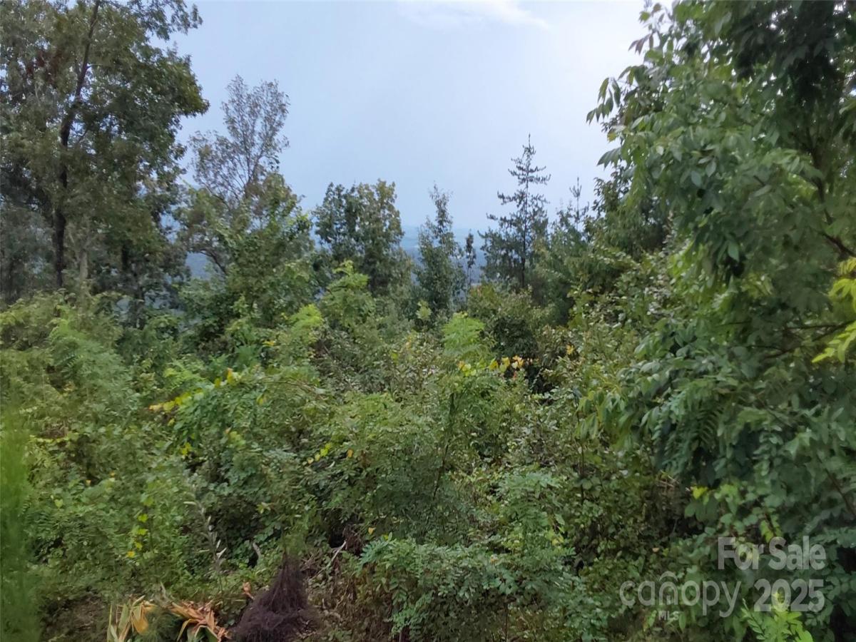 MLS #CAR4295646 image #0