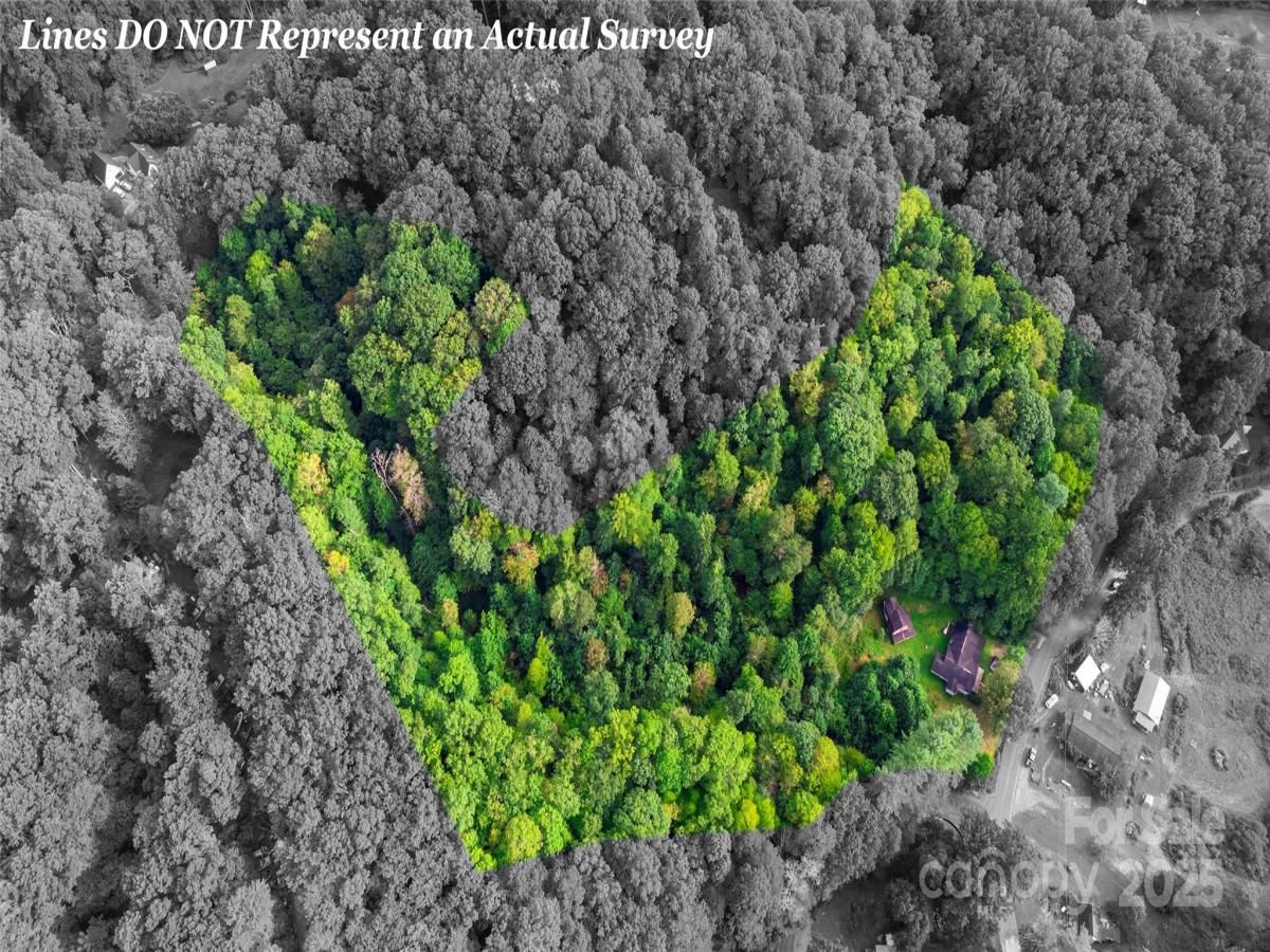 MLS #CAR4296132 image #0