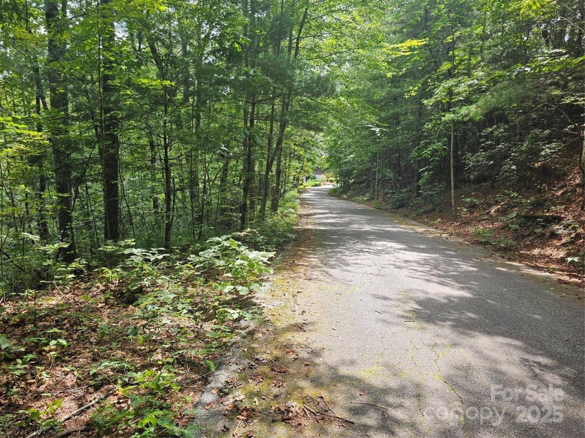 MLS #CAR4296480 image #0