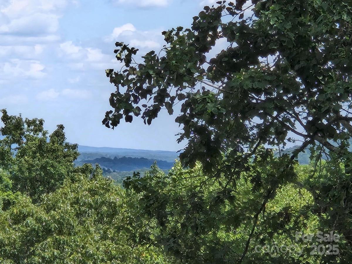 MLS #CAR4296708 image #0