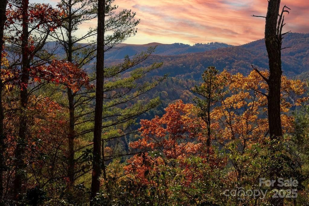 MLS #CAR4297225 image #0