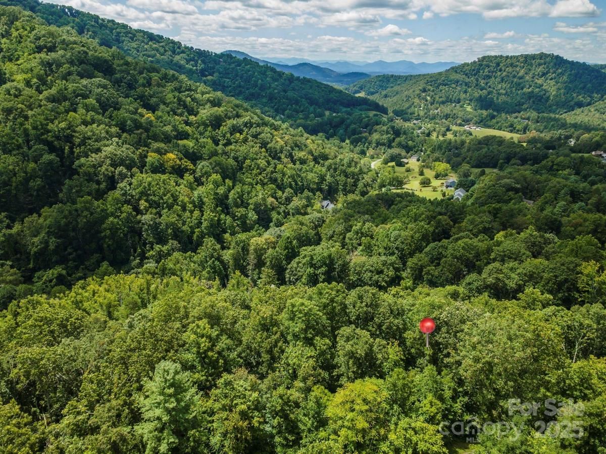 MLS #CAR4297356 image #0