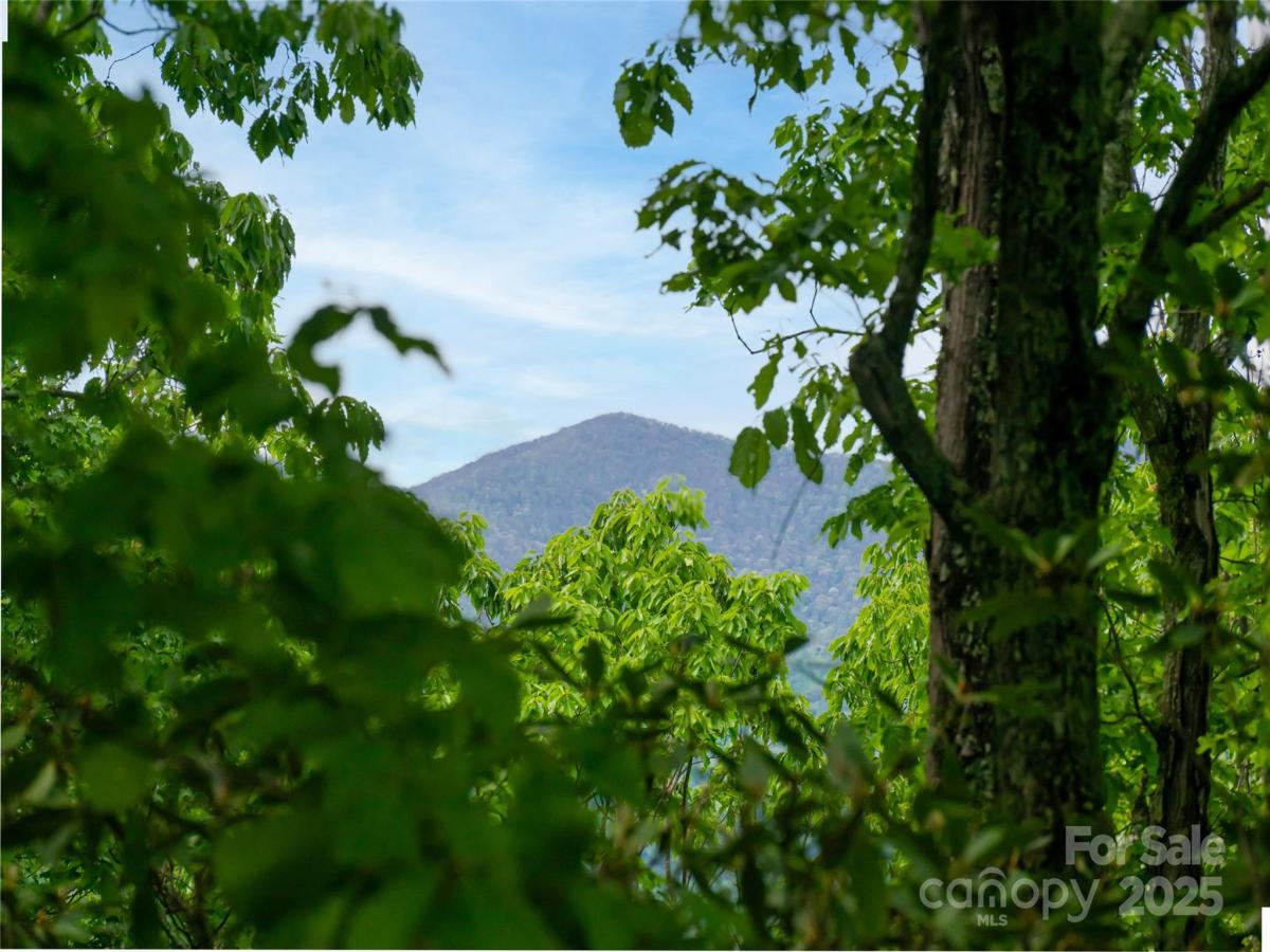 MLS #CAR4297386 image #0