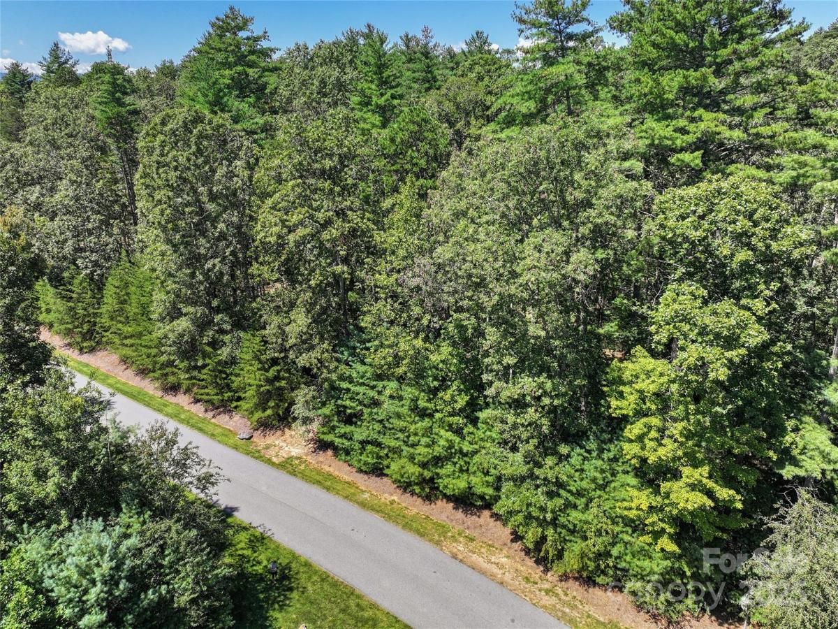 MLS #CAR4297687 image #0