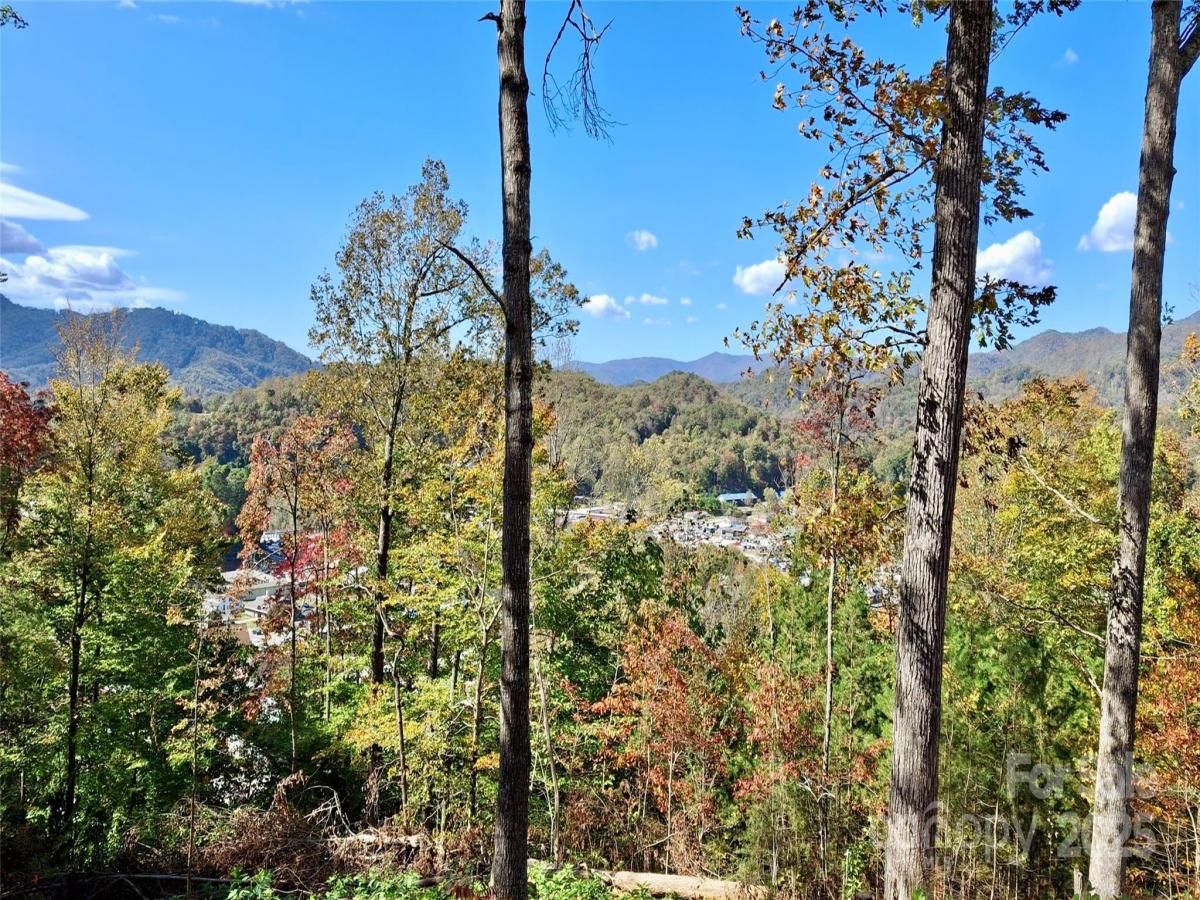 MLS #CAR4297942 image #0