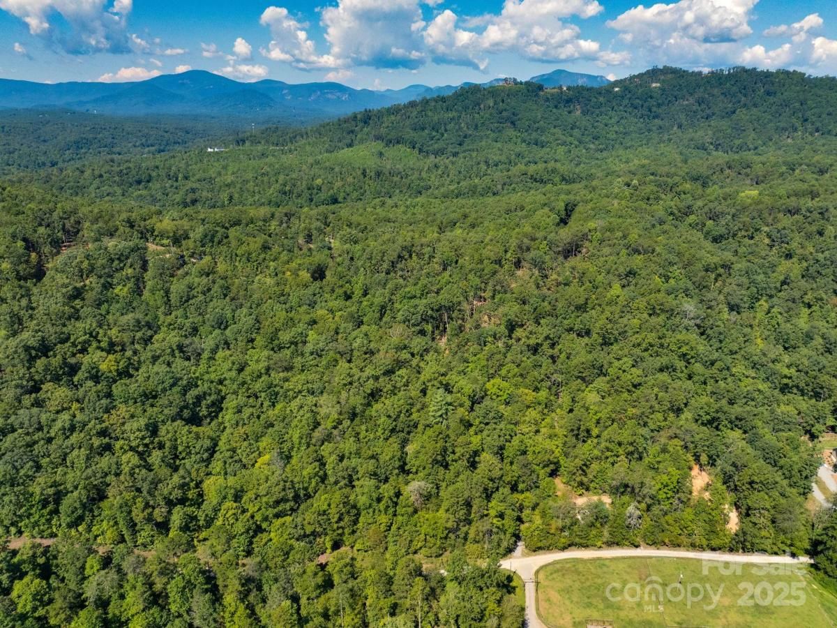 MLS #CAR4298763 image #0