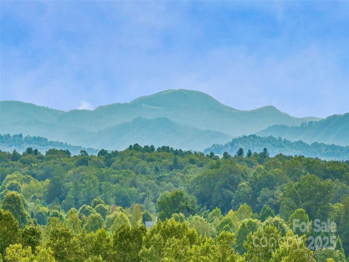 MLS #CAR4298852 image #0