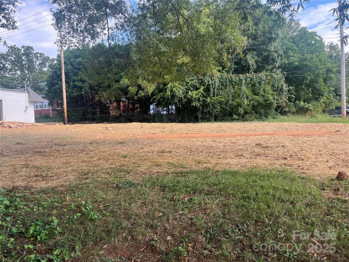 MLS #CAR4298937 image #0