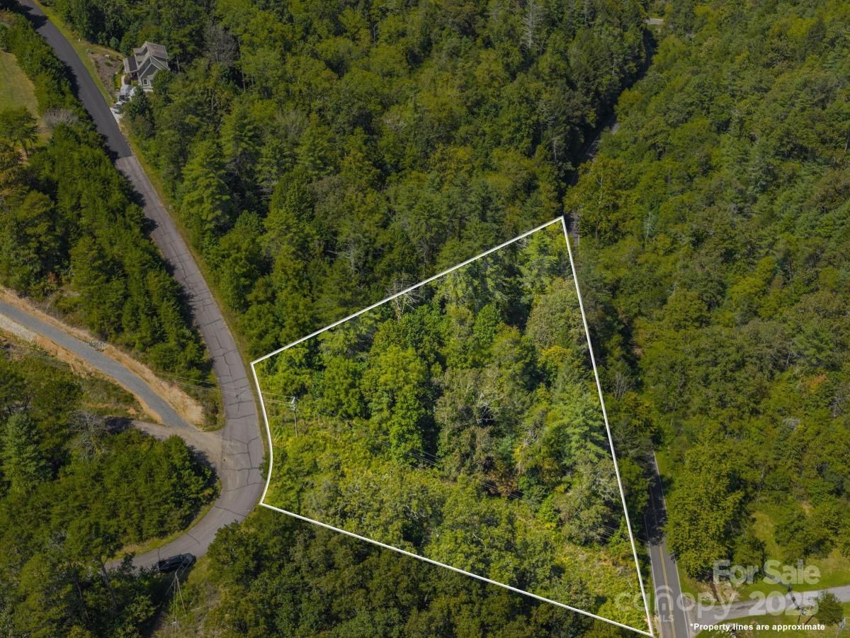 MLS #CAR4299242 image #0