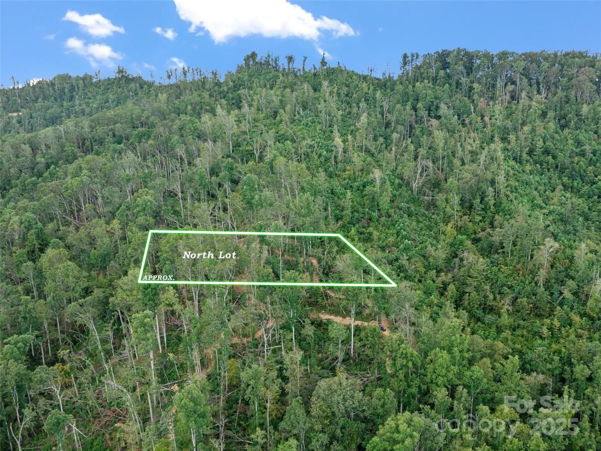 MLS #CAR4299321 image #0