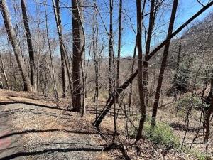 MLS #CAR4299379 image #0