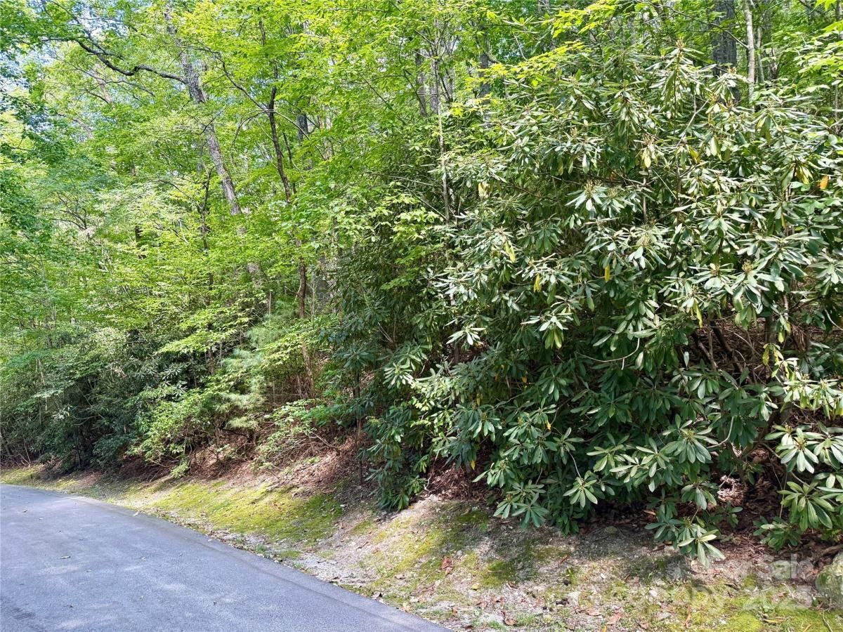 MLS #CAR4299847 image #0