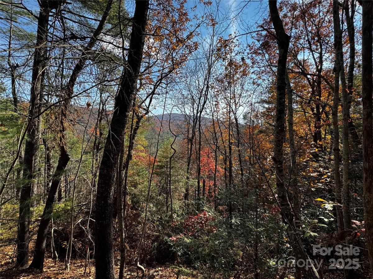 MLS #CAR4299853 image #0