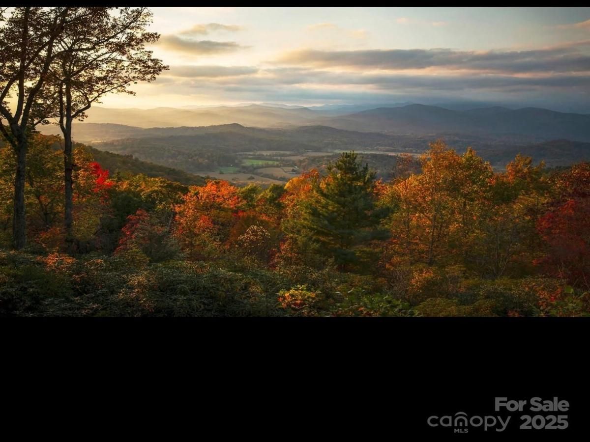 MLS #CAR4300237 image #0