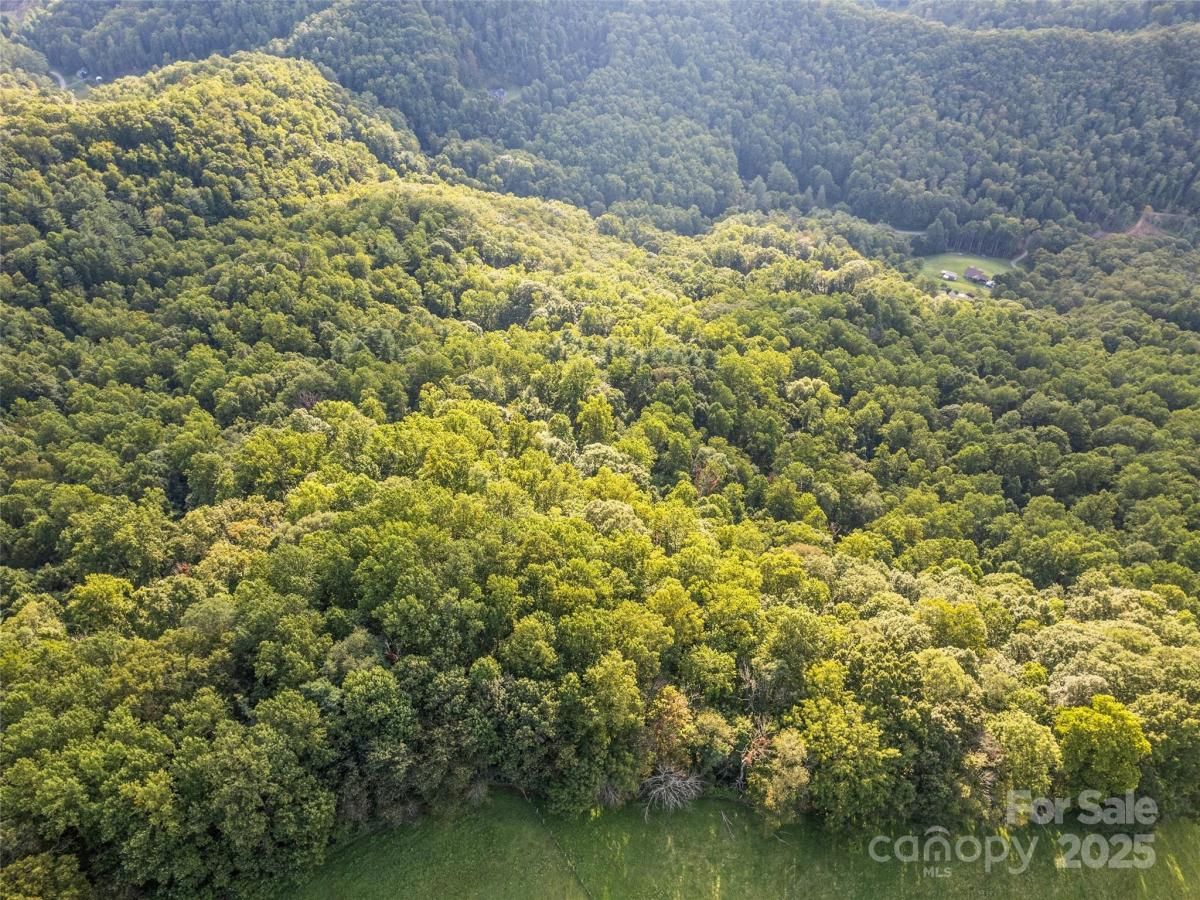 MLS #CAR4300259 image #0