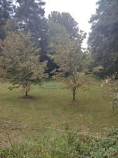 MLS #CAR4300342 image #0