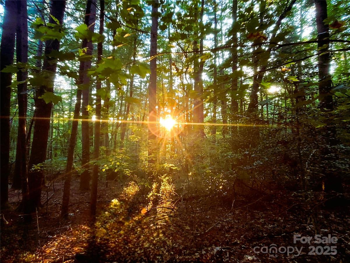 MLS #CAR4300626 image #0