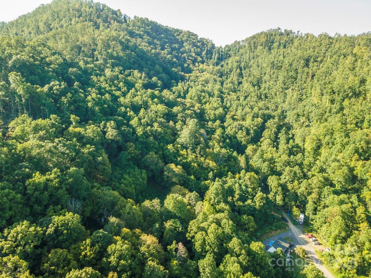 MLS #CAR4301689 image #0