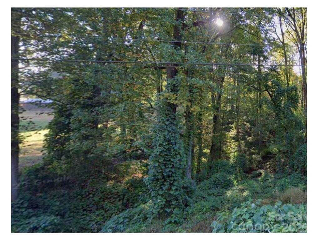 MLS #CAR4301898 image #0