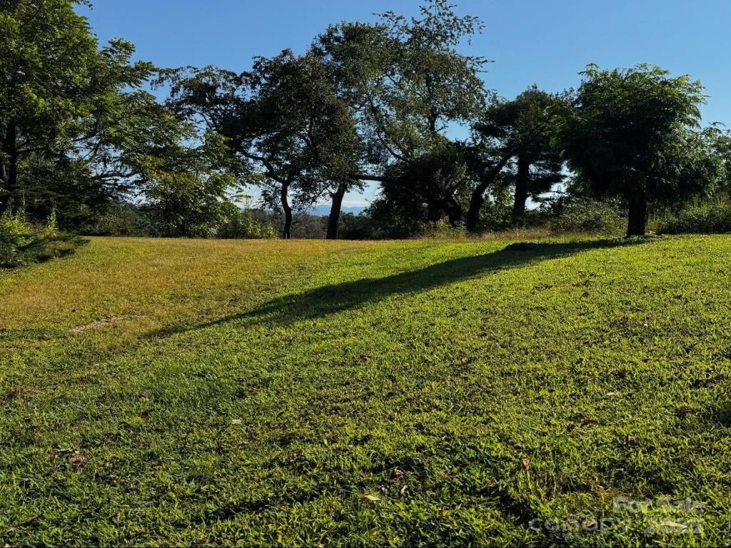 MLS #CAR4302089 image #0