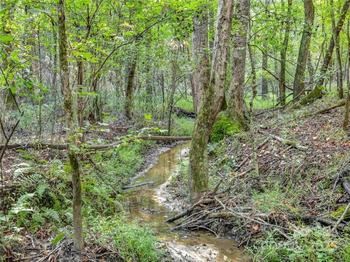 MLS #CAR4302098 image #0