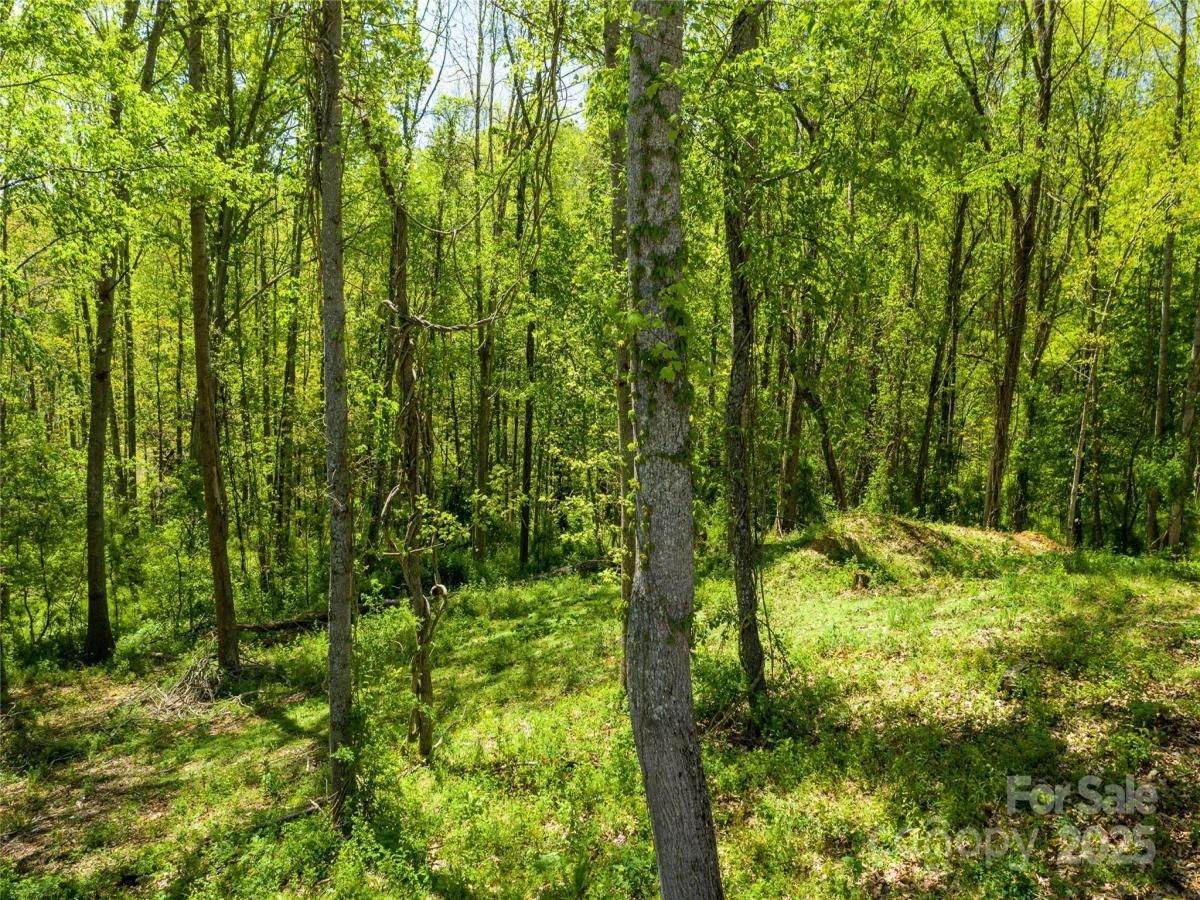 MLS #CAR4303065 image #0