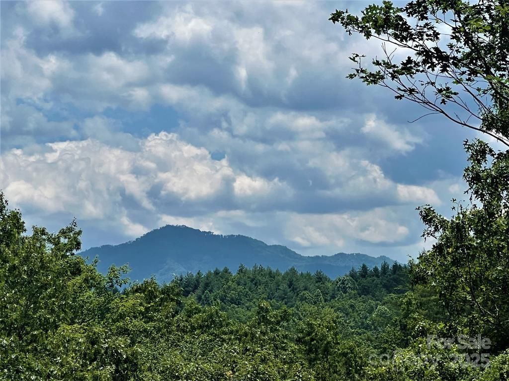 MLS #CAR4303412 image #0