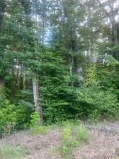 MLS #CAR4303597 image #0