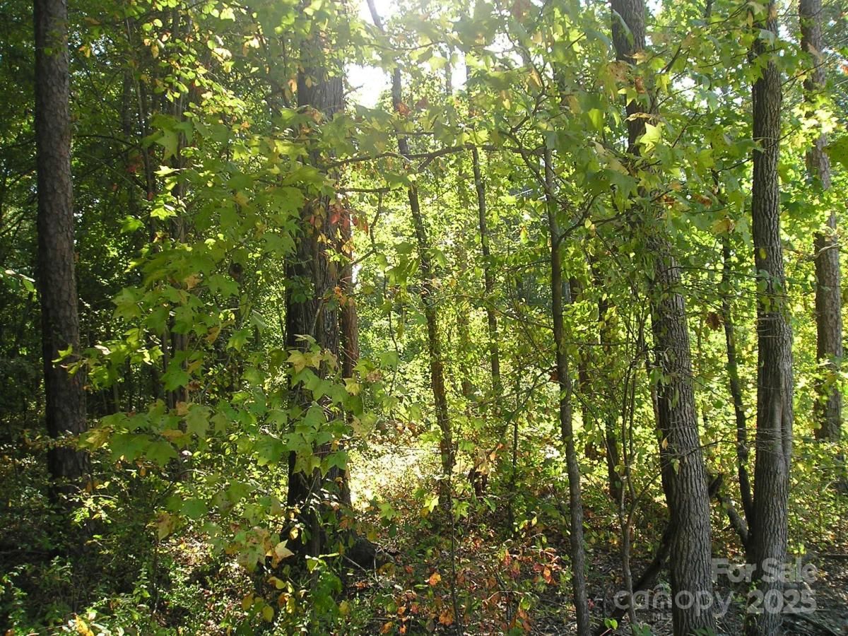 MLS #CAR4304593 image #0