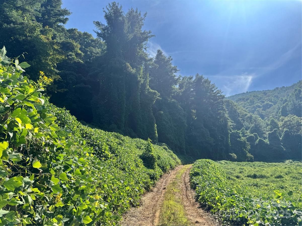 MLS #CAR4305007 image #0