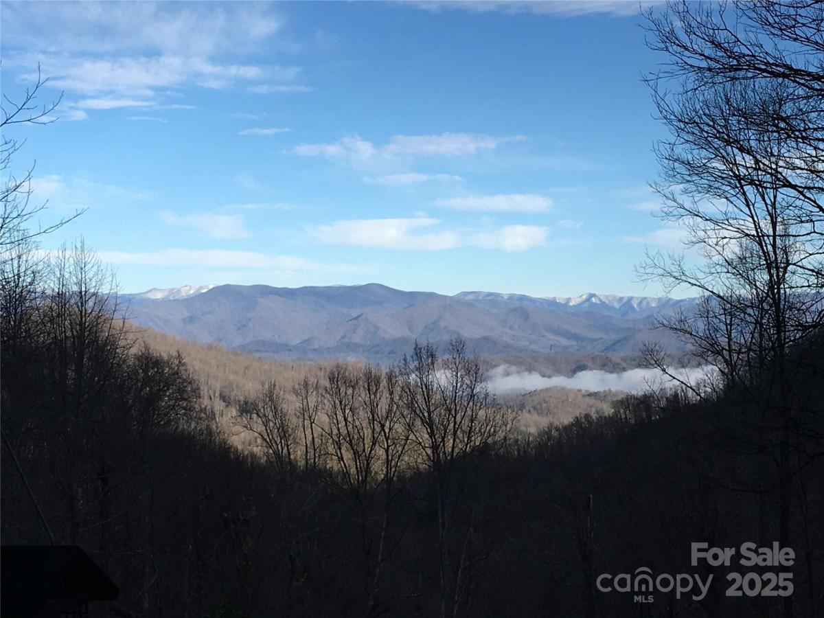 MLS #CAR4305086 image #0