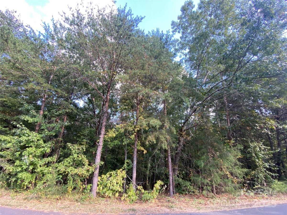 MLS #CAR4305098 image #0