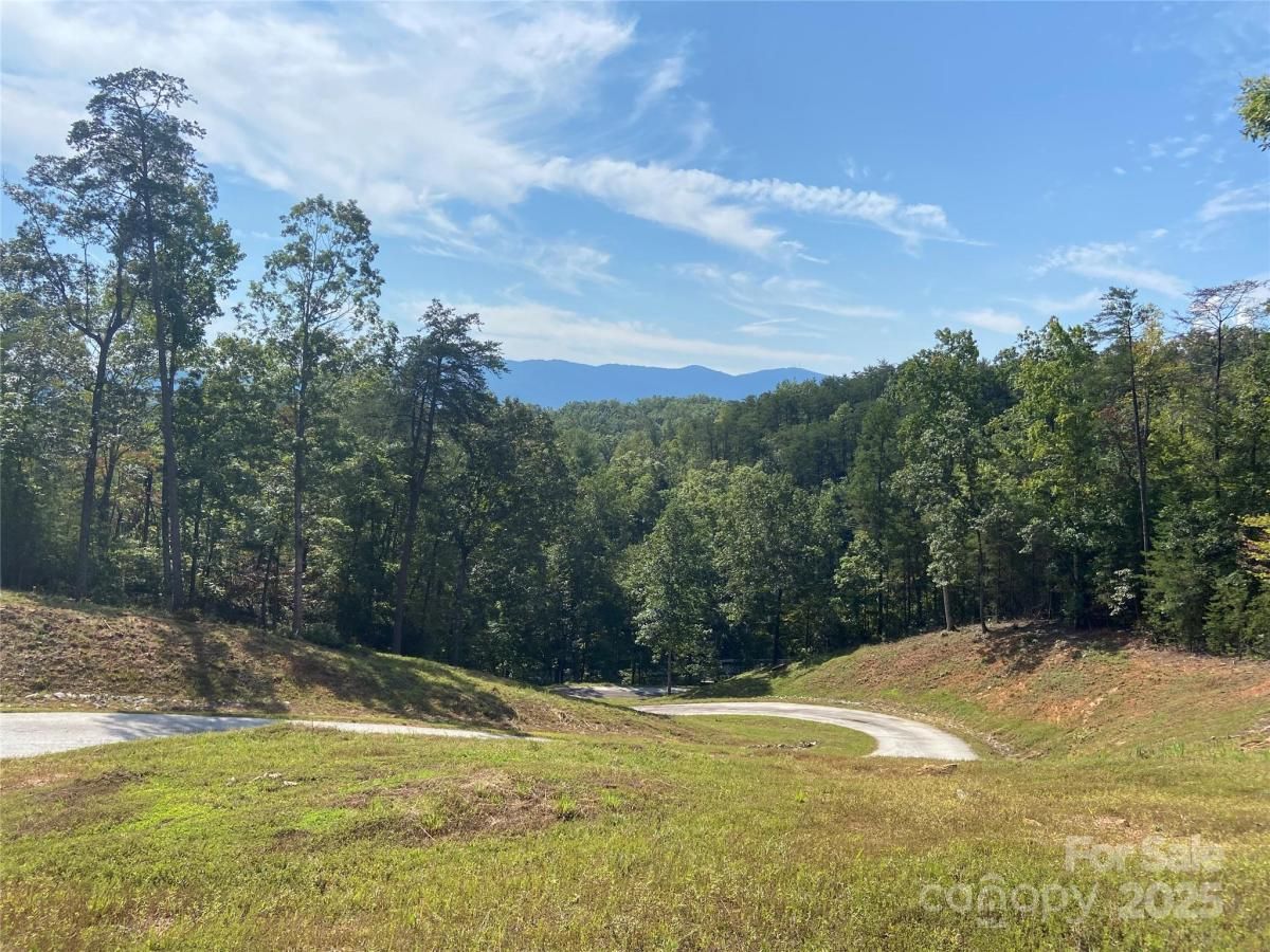 MLS #CAR4305185 image #0