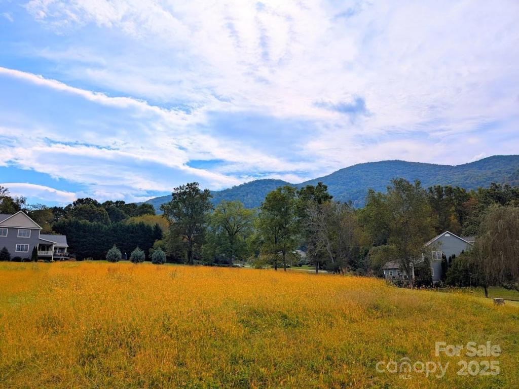 MLS #CAR4305490 image #0