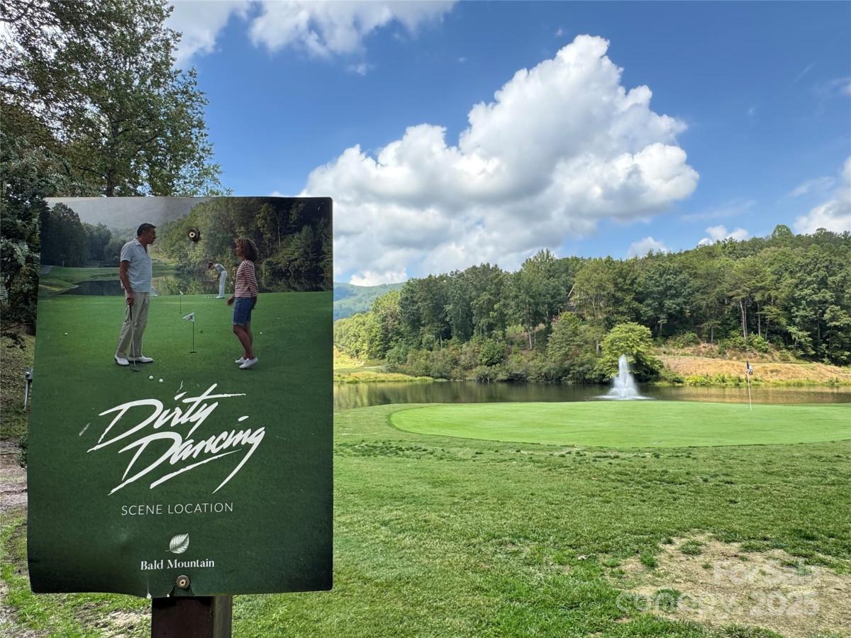 MLS #CAR4305760 image #0