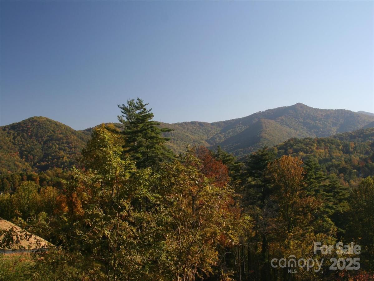 MLS #CAR4305892 image #0