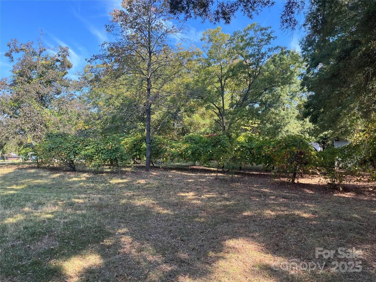 MLS #CAR4305987 image #0