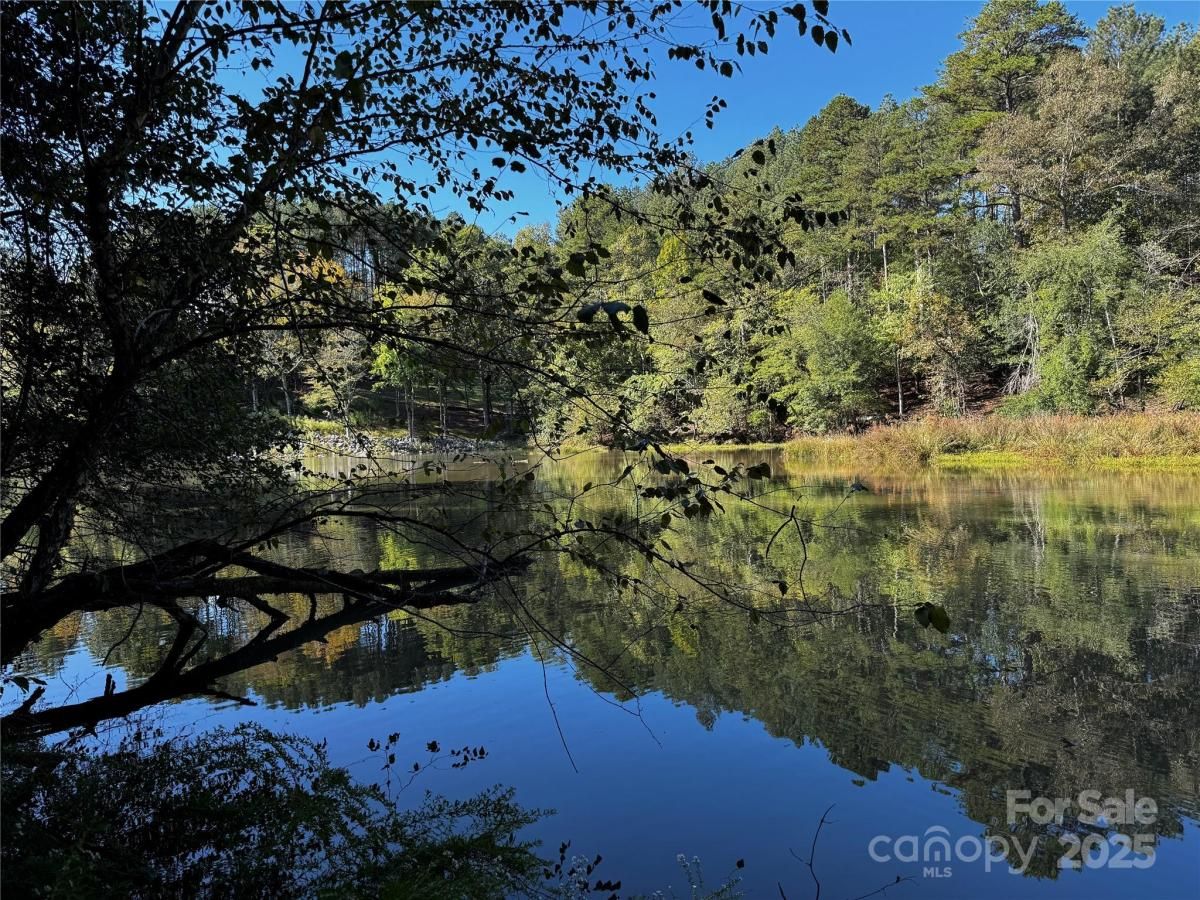 MLS #CAR4306032 image #0