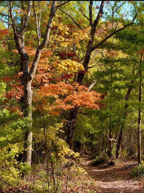 MLS #CAR4306513 image #0