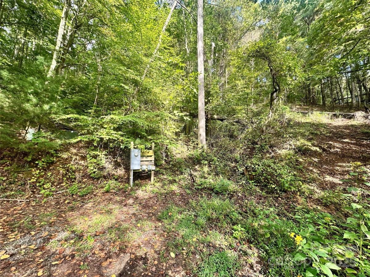 MLS #CAR4306762 image #0