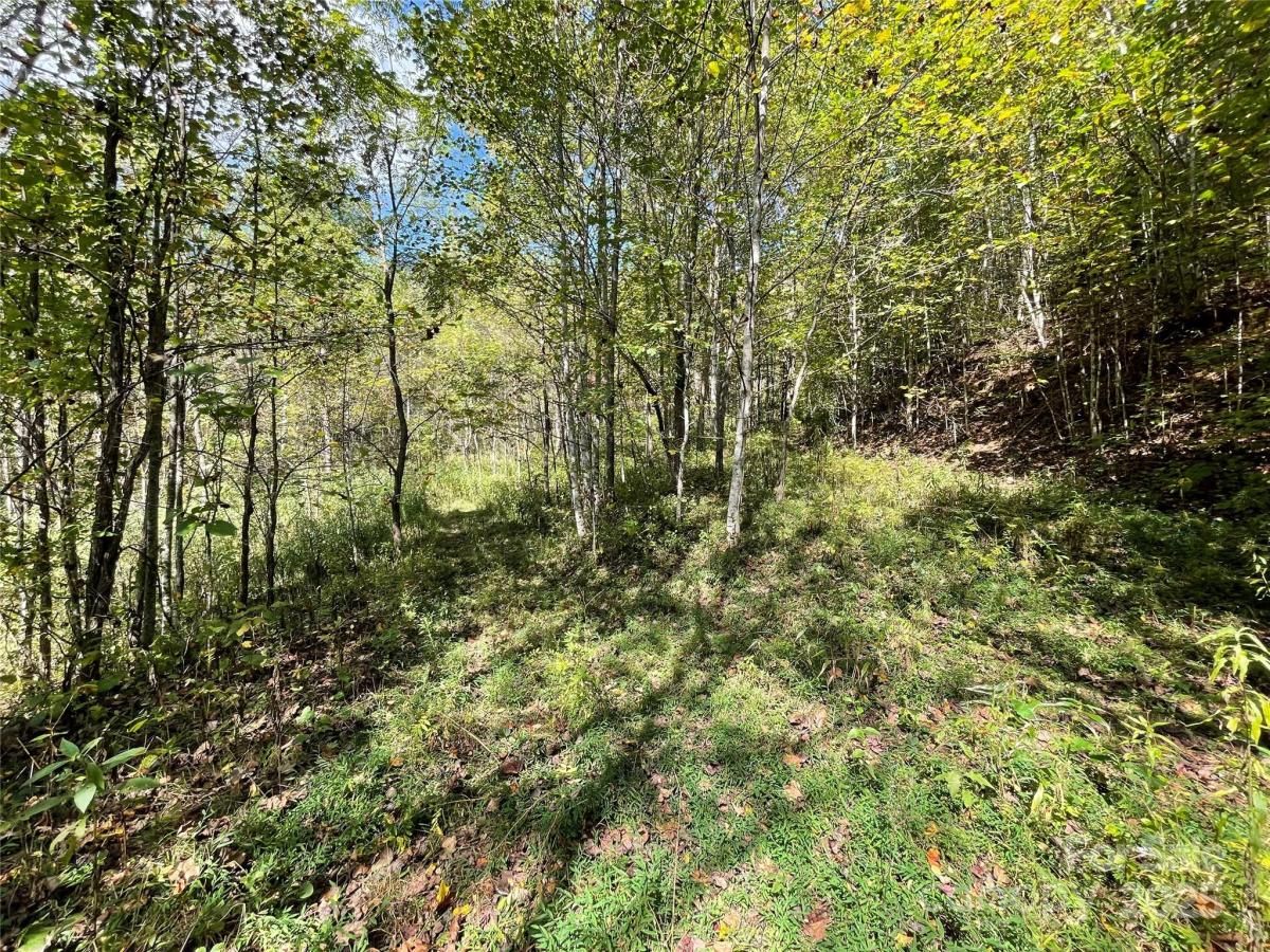 MLS #CAR4306866 image #0